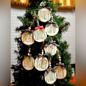 Homemade Christmas Ornaments.